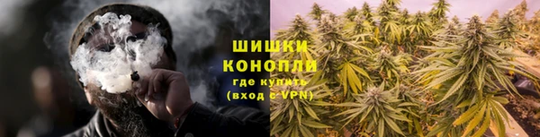 mdpv Белокуриха