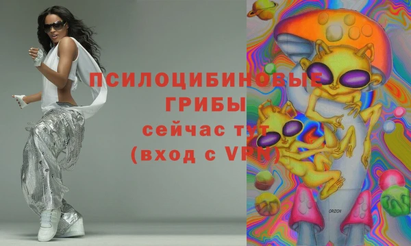 mdpv Белокуриха