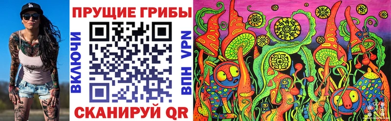 mega маркетплейс  Кологрив  Псилоцибиновые грибы Psilocybe 